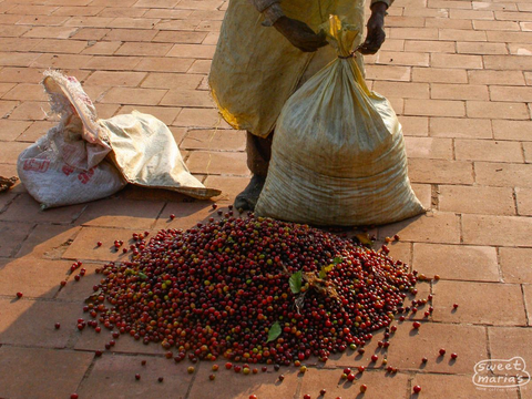 Indian Ratnagiri Estate AB