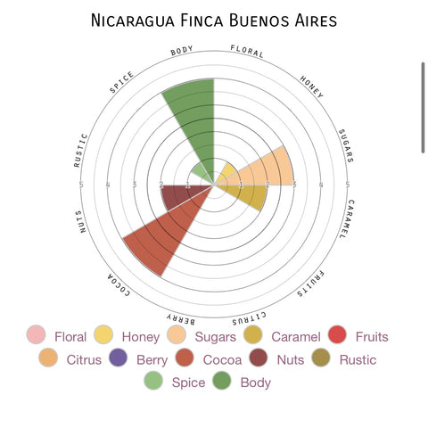 Nicaragua Finca Buenos Aires