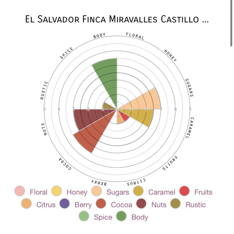 El Salvador - Finca Miravalles Castillo
