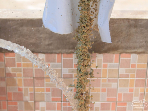 Nicaragua Finca Buenos Aires