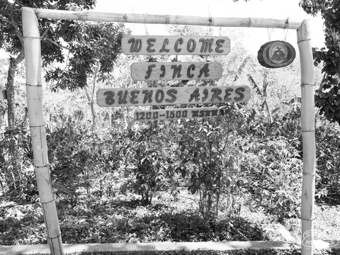 Nicaragua Finca Buenos Aires