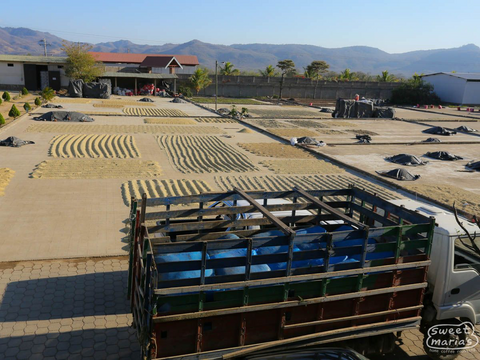 Nicaragua Finca Buenos Aires