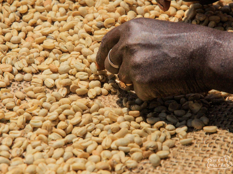 Ethiopia Gera Nano Challa