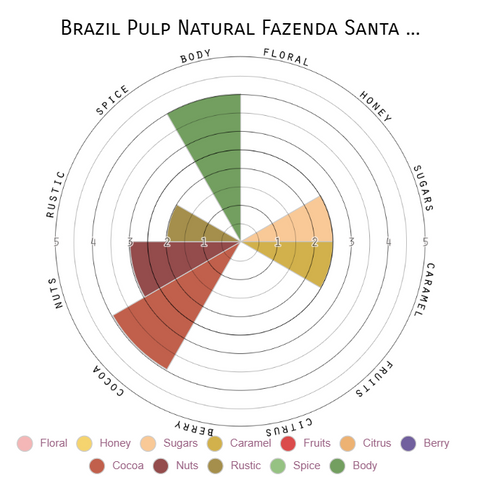 Brazil Pulp Natural Fazenda Santa Lucia
