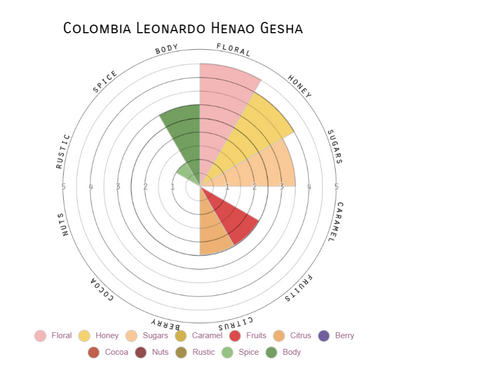 Colombia Gesha - Leonardo Henao