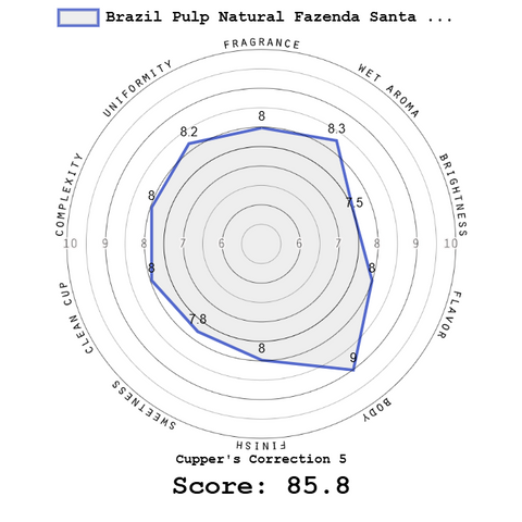 Brazil Pulp Natural Fazenda Santa Lucia